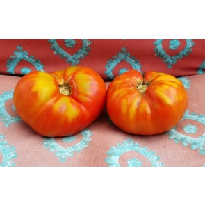 Tomato 'Andrew Rahart's Jumbo Red' Seeds (Certified Organic)