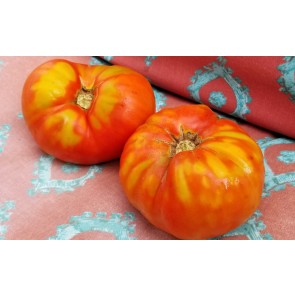 Tomato 'Andrew Rahart's Jumbo Red'