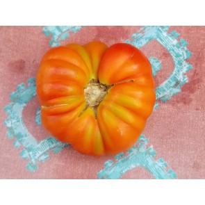 Tomato 'El Nano'