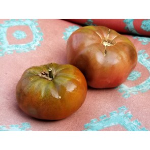 Tomato 'Black Russian'