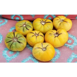 Tomato 'Hawaiian Pineapple' 