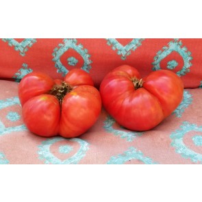 Tomato 'Aunt Lou's Underground Railroad' 