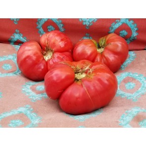 Tomato 'Lithuanian' Seeds (Certified Organic)