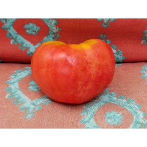 Tomato 'Pink Honey' AKA 'Rozovyi Myod' Seeds (Certified Organic)