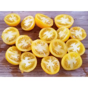 Tomato 'Orange Sunrise' Seeds (Certified Organic)