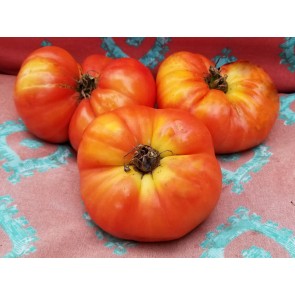 Tomato 'Purple Hillbilly' Seeds (Certified Organic)