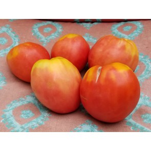 Tomato 'Monkey Ass'