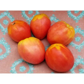 Tomato 'Monkey Ass' Seeds (Certified Organic)
