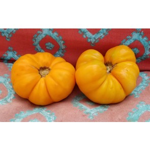Tomato 'Dr. Wyche's Yellow' Seeds (Certified Organic)