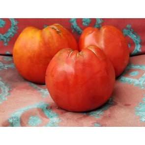 Tomato 'Red Monkey Ass’ Seeds (Certified Organic)