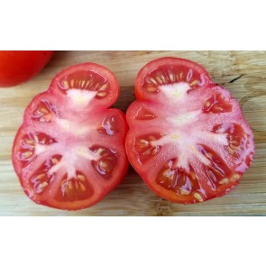 Tomato 'Homestead' Seeds (Certified Organic)