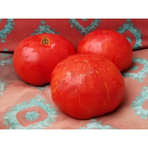Tomato 'Giant Belgium' Seeds (Certified Organic)