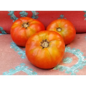 Tomato 'Pantano Romanesco' Seeds (Certified Organic)