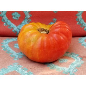 Tomato 'Mr. Brown Pink' 