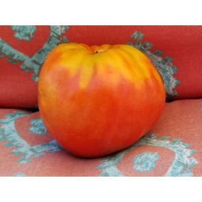 Tomato 'Reif Red Heart' 