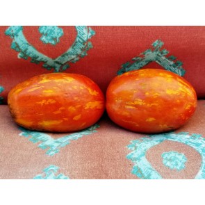 Tomato 'Plum Tigris'