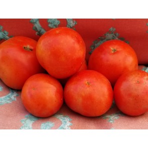 Tomato 'Floradade' Seeds