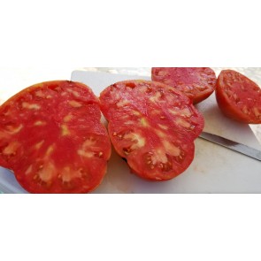 Tomato 'Flathead Monster Pink' Seeds (Certified Organic)