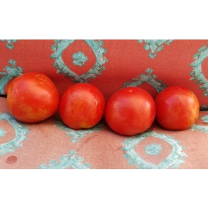 Tomato 'Grosse Lisse' Seeds (Certified Organic)