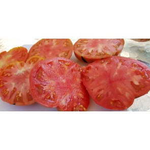 Tomato 'Ferris Wheel' Seeds (Certified Organic)