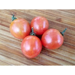 Tomato 'Red Sprinkles' Seeds (Certified Organic)
