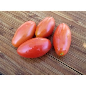 Tomato 'Juliet F2' Seeds (Certified Organic)