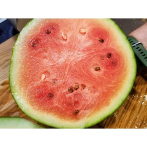 Watermelon 'Blacktail Mountain' Seeds (Certified Organic)