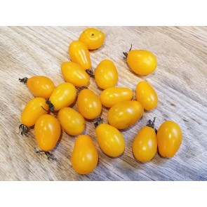 Tomato 'RB Yellow Grape' 