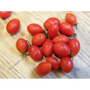 Tomato 'RB Red Grape' Seeds (Certified Organic)