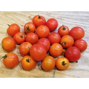 Tomato 'Small Red Cherry'