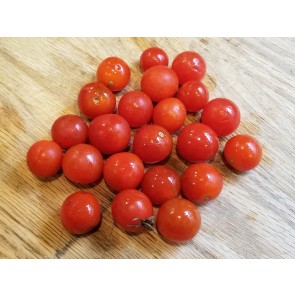 Tomato 'Sibirskiy' Seeds (Certified Organic)