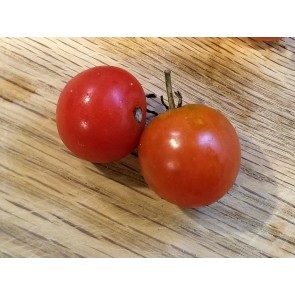 Tomato 'Supersweet 100 F2' Seeds (Certified Organic)