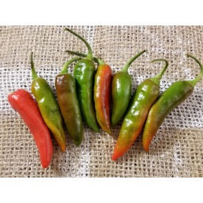 Hot Pepper 'Martin's Carrot' Seeds (Certified Organic)