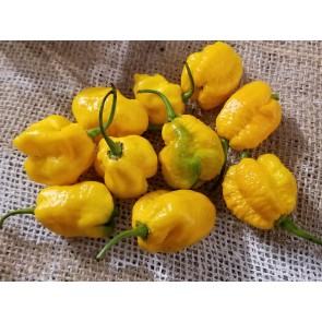 Hot Pepper 'Yellow Carolina Reaper' AKA ‘Reaper Moruga Yellow' Seeds (Certified Organic)