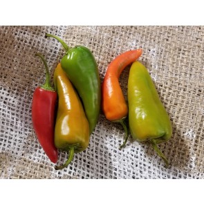 Hot Pepper ‘Cyklon' Seeds (Certified Organic)