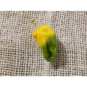 Hot Pepper ‘Lemon Reaper Cross’ (Aji Lemon x Carolina Reaper) Seeds (Certified Organic)