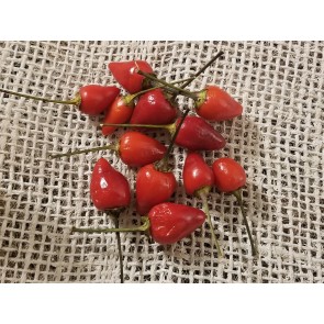 Hot Pepper ‘Bolivian Rainbow' Seeds (Certified Organic)