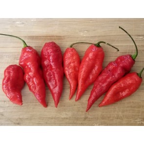 Hot Pepper ‘Carolina Reaper x Bhut Jolokia (Ghost)' Seeds (Certified Organic)