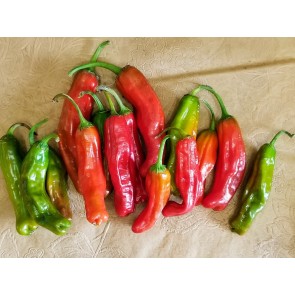 Pepper 'Shishito' Seeds (Certified Organic)