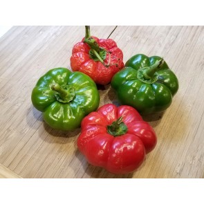 Sweet Pepper 'Liebesapfel' aka 'Love Apple' Seeds (Certified Organic)