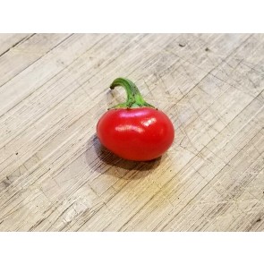 Sweet Pepper ‘Baby Red Bell' Seeds (Certified Organic)