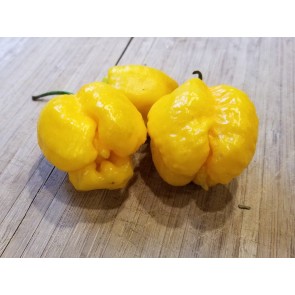 Hot Pepper 'Yellow Carolina Reaper' AKA ‘Reaper Moruga Yellow' Seeds (Certified Organic)