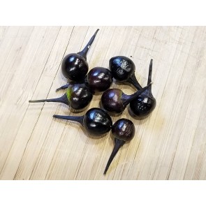 Hot Ornamental Pepper ‘Black Pearl' Seeds (Certified Organic)