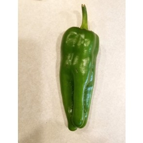 Sweet Pepper 'Spanish Mammoth' AKA 'Doux D'Espagne' Seeds (Certified Organic)