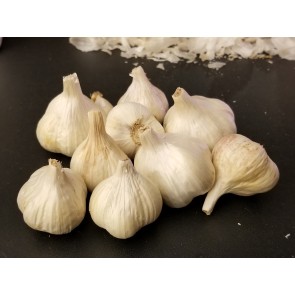 Certified Organic Oregon Blue Culinary Garlic Harvested on our Farm - 4 oz. Bag (FARM PICK-UP)