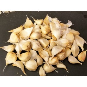 Certified Organic Oregon Blue Culinary Garlic Harvested on our Farm - 4 oz. Bag
