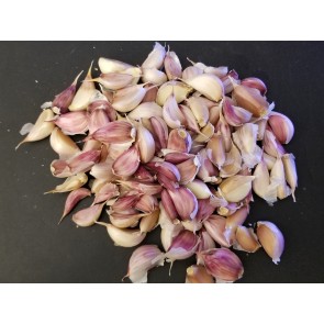 Certified Organic Lewis and Clark Culinary Garlic Harvested on our Farm - 4 oz. Bag (FARM PICK-UP)