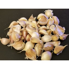 Certified Organic Norquay Culinary Garlic Harvested on our Farm - 4 oz. Bag (FARM PICK-UP)