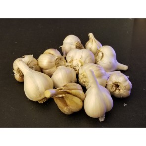 Certified Organic Georgian Crystal Culinary Garlic Harvested on our Farm - 4 oz. Bag