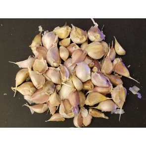 Certified Organic Georgian Crystal Culinary Garlic Harvested on our Farm - 4 oz. Bag